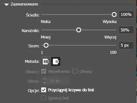 Szybkie przejście z grafiki rastrowej na wektorową w Photoshopie bez problemów