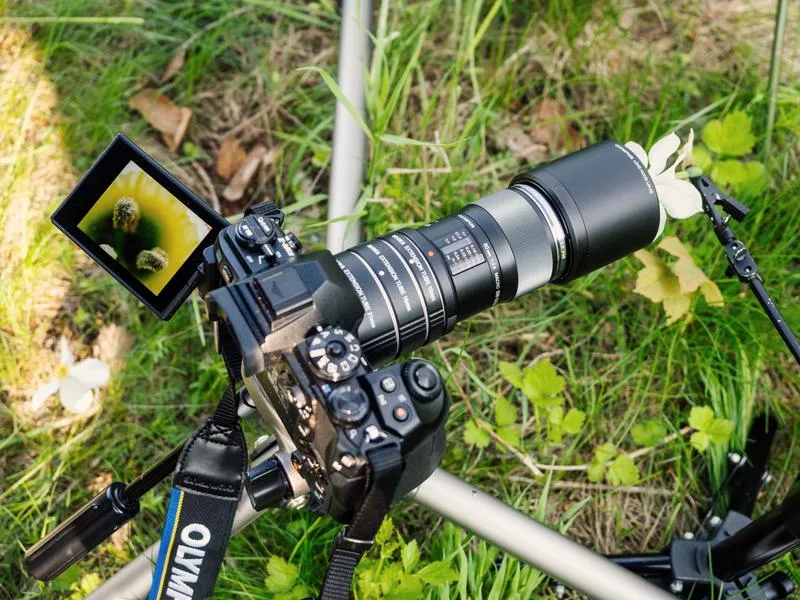 Fotografia w trudnym świetle