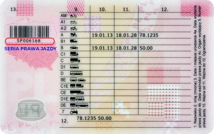 Jak zrobić zdjęcie do prawa jazdy