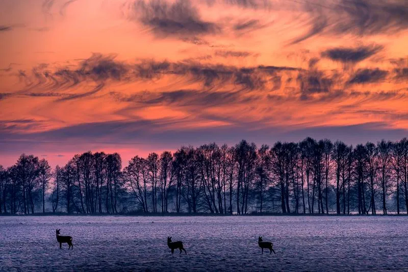 Kluczowe różnice w fotografii