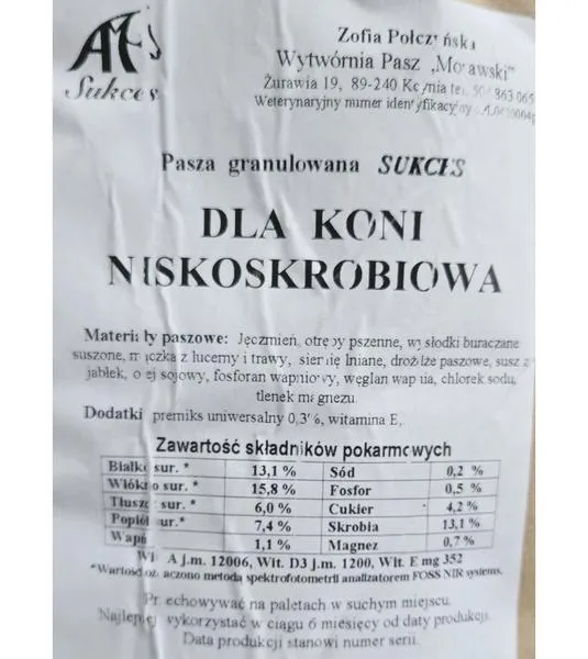 Kompozycja w pejzażu