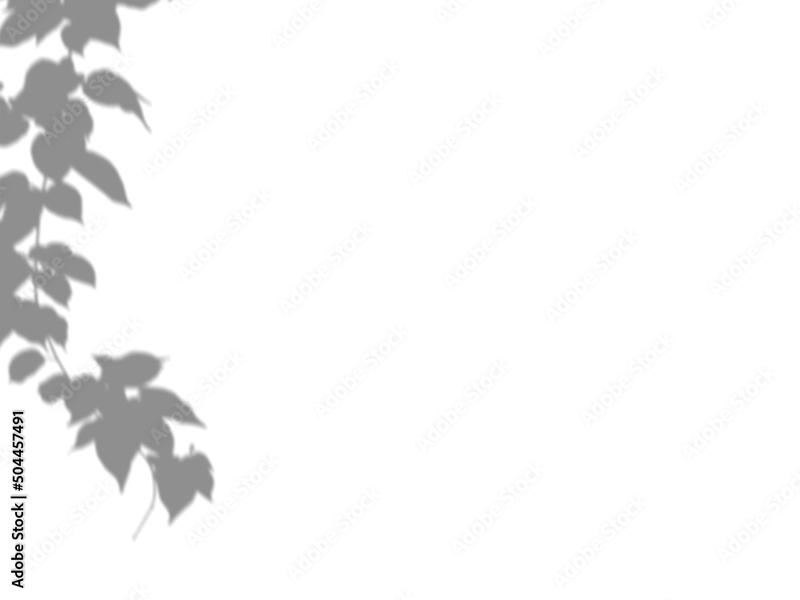 Najlepsze triki w projektach graficznych