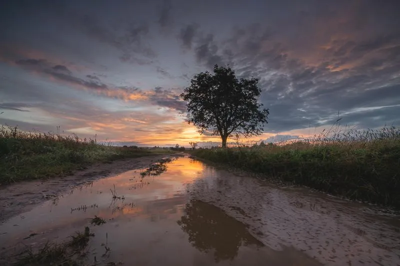 Naturalne światło w fotografii