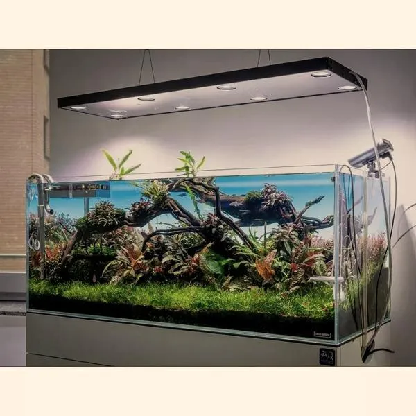 Oświetlenie akwarium