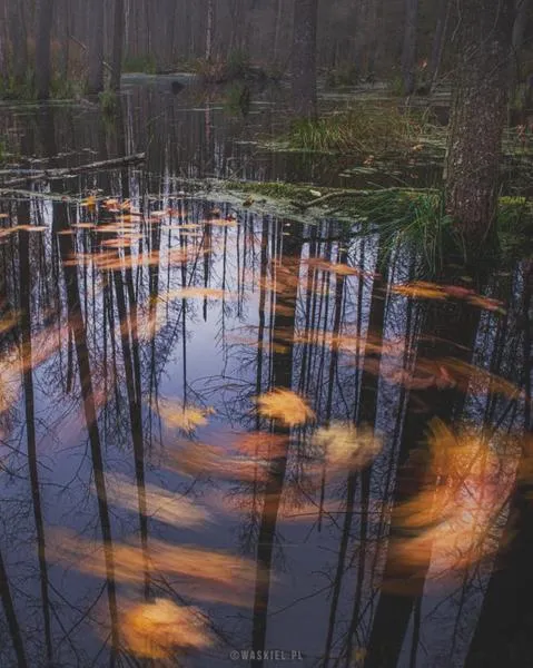 Sprzęt fotograficzny na start