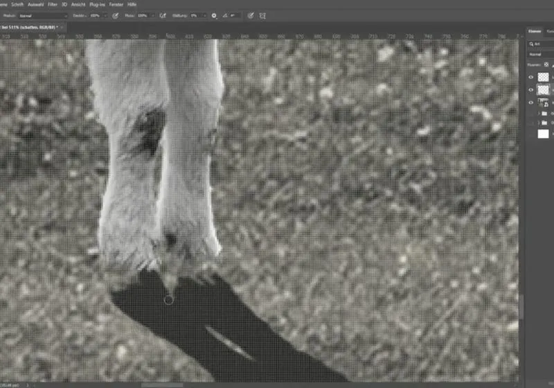 Tworzenie cieni w Photoshopie