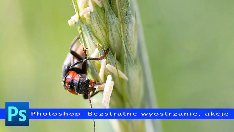 Wyostrzanie zdjęć w Photoshopie
